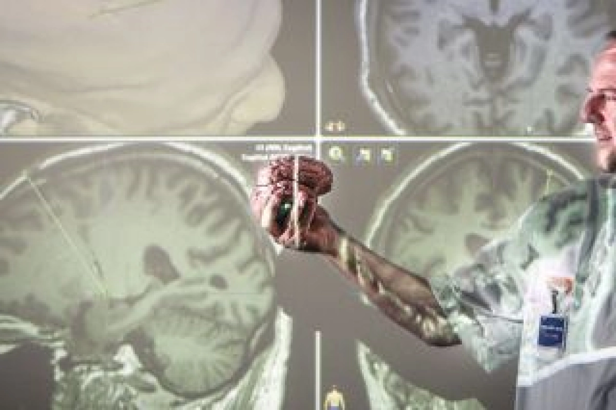 UMCG, RUG, Hanzehogeschool